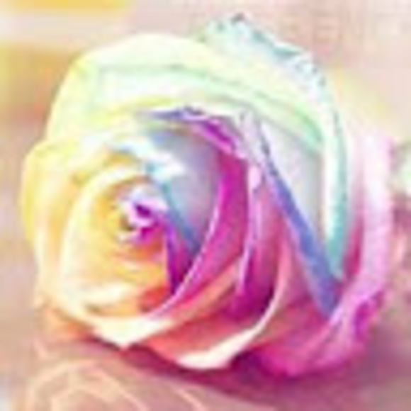 Meet your Posher, Lily - Picture 1 of 1